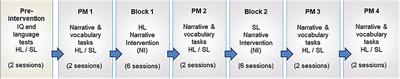 Crosslinguistic Influence (CLI) of Lexical Breadth and Depth in the Vocabulary of Bilingual Kindergarten Children – A Bilingual Intervention Study